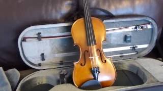 Stentor Graduate Violin Review [upl. by Nnywg5]