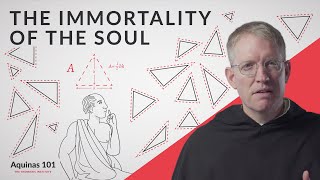 Philosophy Shows You Have an Immortal Soul Aquinas 101 [upl. by Aniwde720]