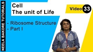 Cell  The Unit of Life  NEET  Ribosome Structure  Part  I  Neela Bakore Tutorials [upl. by Makell]