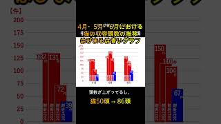 松山市動物愛護センター引き取り拒否問題2024年9月20日）松山市 松山市議会 [upl. by Goggin]