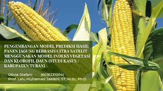 Model prediksi jagung berbasis citra satelit menggunakan model indeks vegetasi dan klorofil daun [upl. by Schreiber]