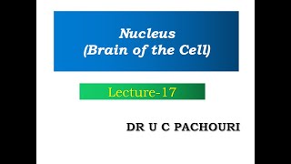 Nucleus Brain of the CellThe Cell Lec  17  Class 11  Target Neet  Dr U C PACHOURI [upl. by Ecirtemed104]