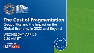 The Cost of Fragmentation Geopolitics and the Impact on the Global Economy in 2023 and Beyond [upl. by Mayor309]