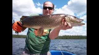 Lake Larouche FlyIn Trip With Ceasers North Camps [upl. by Calore]