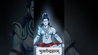 Karpur Gauram Shiva Yajur Mantra mahadev bholenath [upl. by Esnofla]