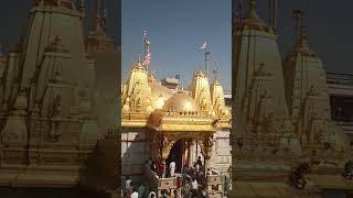 Vadtal Swaminarayan Temple  200 years  Swaminarayan vadtal laxminarayan 200 [upl. by Gloriane]