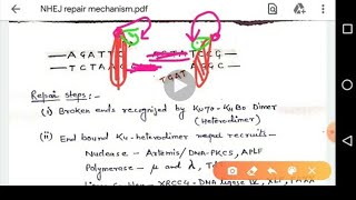 Non Homologous End Joining Repair Mechanism [upl. by Shipman]