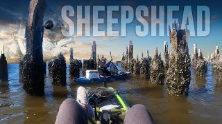 PART2 CATCH amp COOK with Fisherman’s Life  SHEEPSHEAD Vietnamese Style  Jacksonville Fishing [upl. by Htes244]