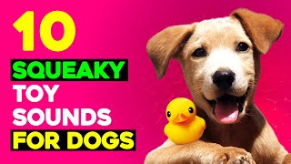 10 Squeaky Toys Sounds for Dogs  Sounds that Call Dogs [upl. by Arlene]