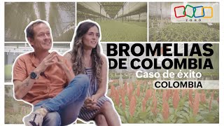 Bromelias de Colombia  Caso de éxito Zoho [upl. by Trojan435]