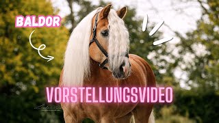 MEIN NEUES PFERD  VORSTELLUNGSVIDEO 🦄 [upl. by Gargan]