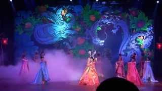 ALCAZAR SHOW PATTAYA 2014  Clip 7 [upl. by Sulokcin520]