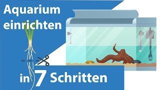 Aquarium einrichten für Anfänger  in 7 Schritten einfach erklärt [upl. by Taylor587]