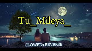 TU MILEYA 🥺🥀  SLOWED  REVERB  LOFI SONG [upl. by Toland645]