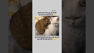 Tumse to axa song music trending cat catvideos youtubeshorts funny hindisong shortsviral [upl. by Joshi]