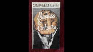 Plot summary “Madness and Civilization” by Michel Foucault in 5 Minutes  Book Review [upl. by Notanhoj]