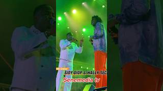 Sidy Diop amp Wally Seck zenith Dakar [upl. by Ferrand547]