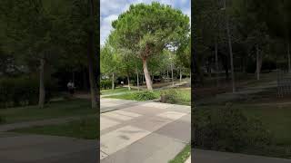 Parque de Hospitalet de Llobregat de Barcelona [upl. by Balthazar]