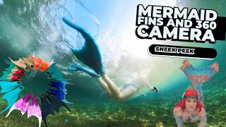 Testing Mertailor Kicks Dive Fins in 360° Underwater Ocean Swim POV [upl. by Kalie580]