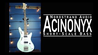 Nordstrand Audio Acinonyx Bass Demo [upl. by Yttocs]