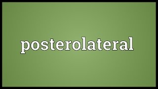 Posterolateral Meaning [upl. by Absalom]