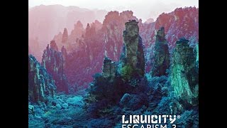 Liquicity  Escapism 3 Full Album Mix [upl. by Obel]