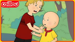 Caillous neuer Klassenkamerad  Die Neuen Abenteuer von Caillou  Staffel 3 Folge 30 [upl. by Malonis]