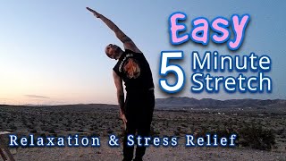 Easy 5 Minute Stretch For Relaxation amp Stress Relief [upl. by Felicio]