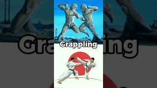 Pankration VS Karate [upl. by Aramad]