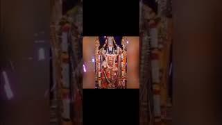 12 மணி உச்சி பூஜை 🌋💥 🙏வெங்கடபாலாஜி🙏viralvideoshorts [upl. by Ennyletak]