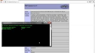 phpinfo LFI shell [upl. by Nolitta489]