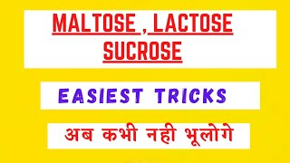 Maltose Lactose Sucrose Tricks  Biomolecules Tricks [upl. by Horsey]