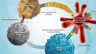 Immuntherapie – Die neusten Entwicklungen  Hirslanden Klinik Aarau [upl. by Tereve]