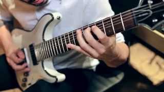 ᴴᴰ VITALISM  GRADUS  GUITAR PLAYTHROUGH OFFICIAL [upl. by Bambie]