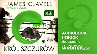 KRÓL SZCZURÓW  JAMES CLAVELL  AUDIOBOOK PL [upl. by Adelina56]