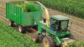 Chopping Silage in Nebraska 2022 [upl. by Holden]