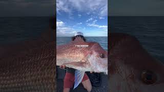 The Froth Is High When Boat A Snapper First Cast deathbait missingatsea fishing [upl. by Gamali100]