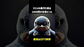 ツバメの巣作り実は1000回の往復だった 動物 雑学 ツバメ shorts [upl. by Ennadroj]