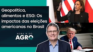 Eleição nos EUA o que muda para o Brasil com Trump ou Kamala  HORA H DO AGRO [upl. by Leasim986]