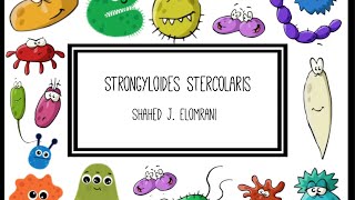 Strongyloides Stercolaris [upl. by Negiam34]