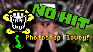 No Hit Photoshop Flowey UNSEGMENTED [upl. by Narej]