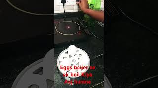 The boiler se egg boil [upl. by Notslah]