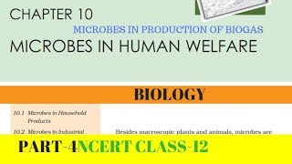 Part4 MICROBES IN HUMAN WELFARE chapter10 NCERT class 12th biology [upl. by Alexandr]