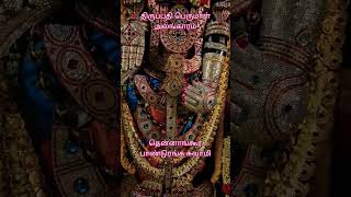 Tirupathi perumal alangaram  திருப்பதி பெருமாள் அலங்காரம் தென்னாங்கூர் பாண்டுரங்க சுவாமி tirupati [upl. by Caiaphas]