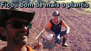 Mostrando o milho plantado com a plantadeira de empurrargradeandoplantando mais milho 🌽 [upl. by Durno]