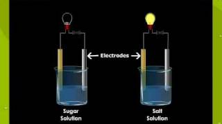 Electrolytes and Non Electrolytes [upl. by Bohun993]