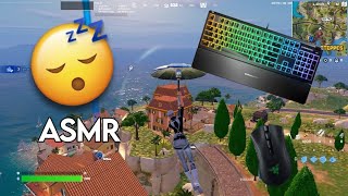 Steelseries Apex 3 😴 Fortnite Keyboard Sound ASMR ⭐ [upl. by Bonni166]