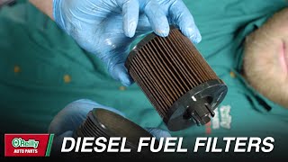 How To Change Diesel Fuel Filters [upl. by Inneg5]