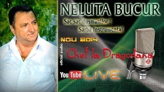 NELUTA BUCUR  Sac sac dusmanilor  Sarba instrumental live audio [upl. by Enirbas258]