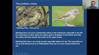 MiniTutorial Vireos Without Wingbars [upl. by Notnil506]